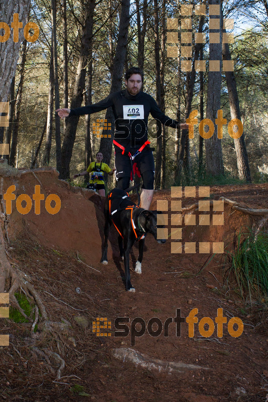 Esport Foto - Esportfoto .CAT - Fotos de II Mitja Marato de Muntanya i Canicross Eramprunyà - Dorsal [402] -   1391364764_BX0C0500.jpg