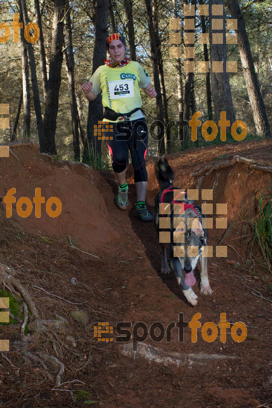 Esport Foto - Esportfoto .CAT - Fotos de II Mitja Marato de Muntanya i Canicross Eramprunyà - Dorsal [453] -   1391364771_BX0C0505.jpg