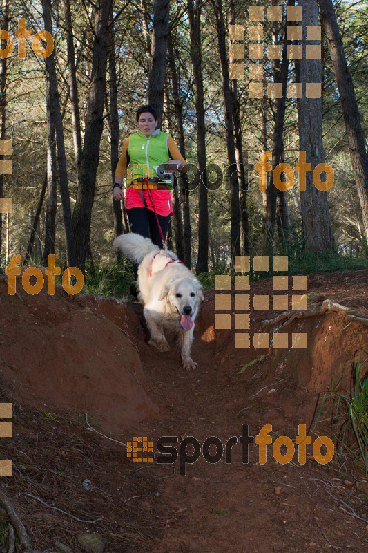 Esport Foto - Esportfoto .CAT - Fotos de II Mitja Marato de Muntanya i Canicross Eramprunyà - Dorsal [0] -   1391364774_BX0C0507.jpg