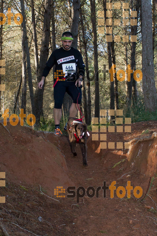 Esport Foto - Esportfoto .CAT - Fotos de II Mitja Marato de Muntanya i Canicross Eramprunyà - Dorsal [466] -   1391364776_BX0C0509.jpg