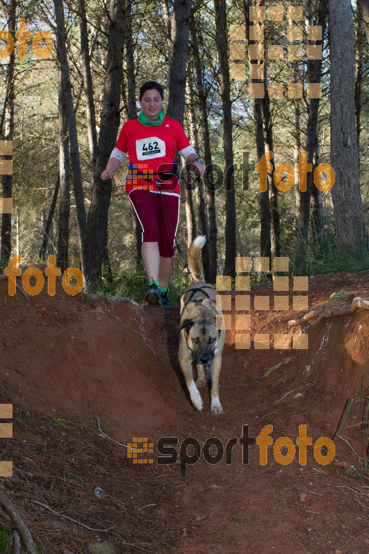 Esport Foto - Esportfoto .CAT - Fotos de II Mitja Marato de Muntanya i Canicross Eramprunyà - Dorsal [462] -   1391364780_BX0C0512.jpg
