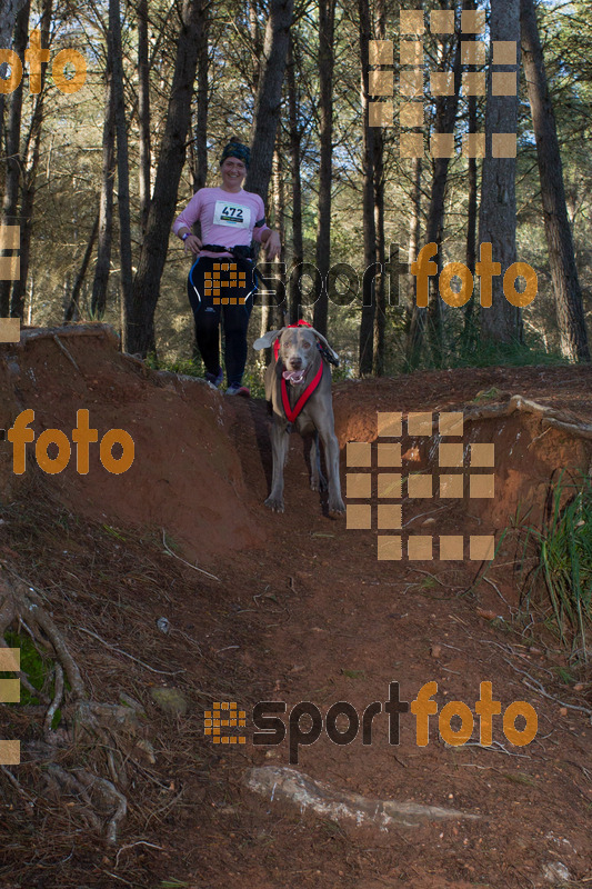 Esport Foto - Esportfoto .CAT - Fotos de II Mitja Marato de Muntanya i Canicross Eramprunyà - Dorsal [472] -   1391364784_BX0C0515.jpg