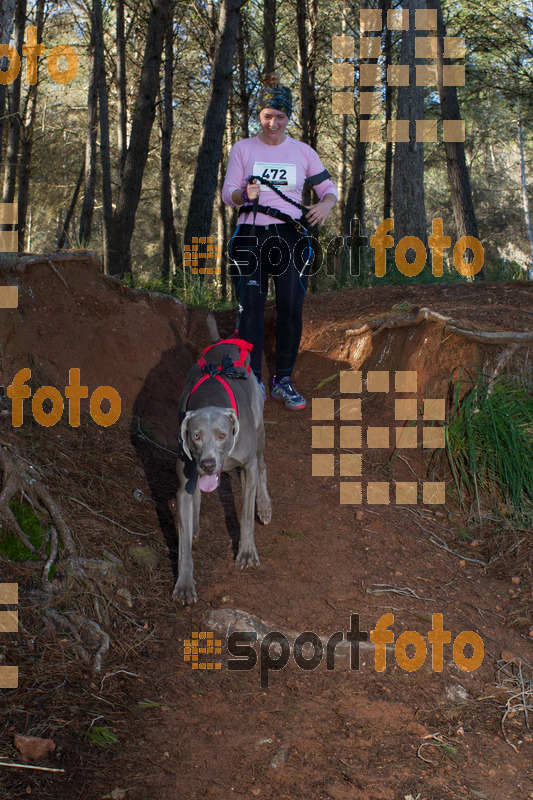 Esport Foto - Esportfoto .CAT - Fotos de II Mitja Marato de Muntanya i Canicross Eramprunyà - Dorsal [472] -   1391364786_BX0C0516.jpg