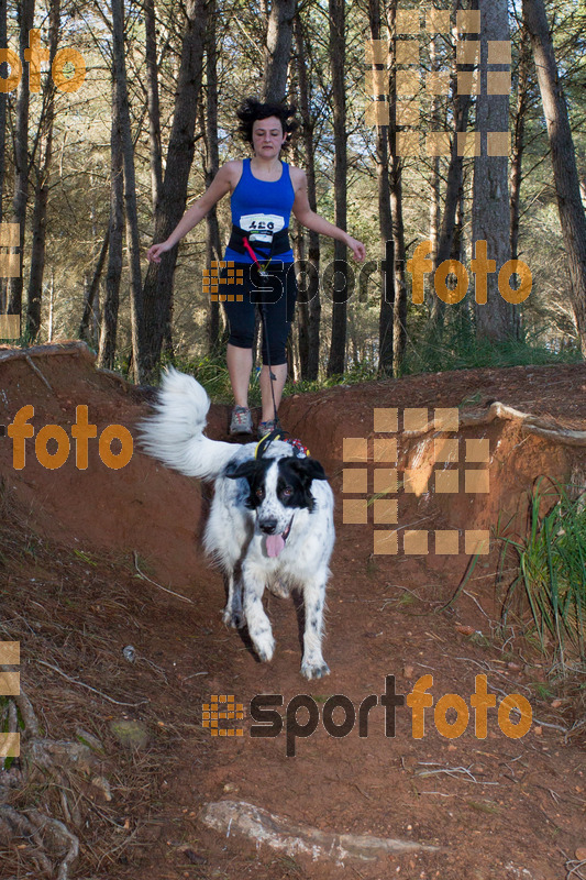 Esport Foto - Esportfoto .CAT - Fotos de II Mitja Marato de Muntanya i Canicross Eramprunyà - Dorsal [428] -   1391364791_BX0C0520.jpg