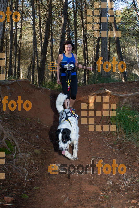 Esport Foto - Esportfoto .CAT - Fotos de II Mitja Marato de Muntanya i Canicross Eramprunyà - Dorsal [428] -   1391364792_BX0C0521.jpg