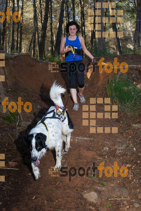 Esport Foto - Esportfoto .CAT - Fotos de II Mitja Marato de Muntanya i Canicross Eramprunyà - Dorsal [428] -   1391364794_BX0C0522.jpg