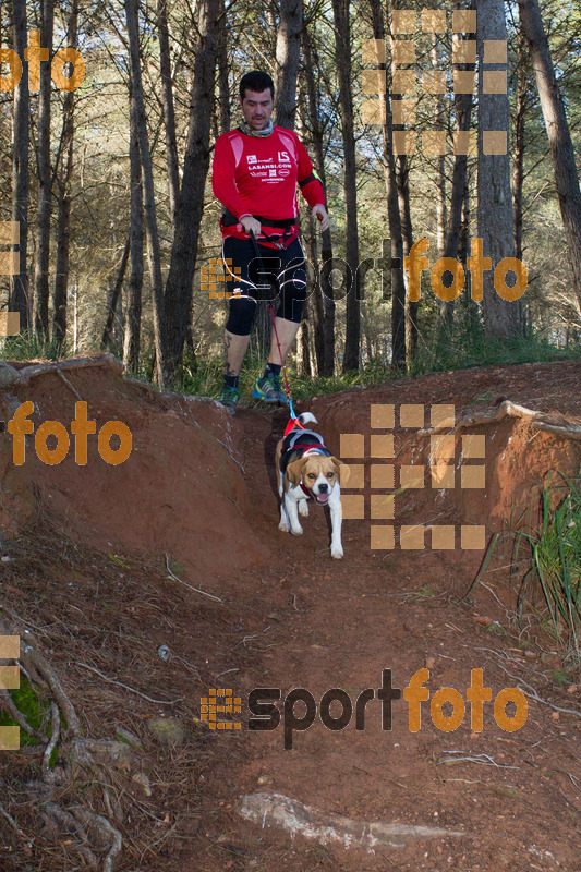 Esport Foto - Esportfoto .CAT - Fotos de II Mitja Marato de Muntanya i Canicross Eramprunyà - Dorsal [0] -   1391364804_BX0C0531.jpg