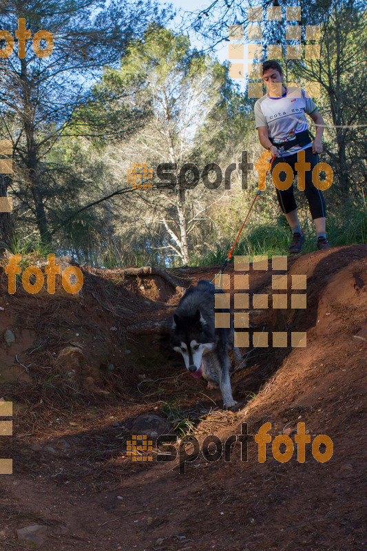 Esport Foto - Esportfoto .CAT - Fotos de II Mitja Marato de Muntanya i Canicross Eramprunyà - Dorsal [0] -   1391364809_BX0C0534.jpg