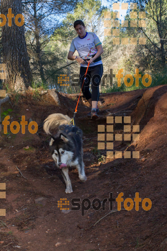 Esport Foto - Esportfoto .CAT - Fotos de II Mitja Marato de Muntanya i Canicross Eramprunyà - Dorsal [0] -   1391364810_BX0C0535.jpg