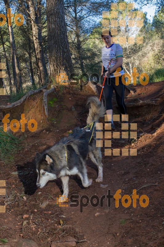 Esport Foto - Esportfoto .CAT - Fotos de II Mitja Marato de Muntanya i Canicross Eramprunyà - Dorsal [0] -   1391364812_BX0C0536.jpg