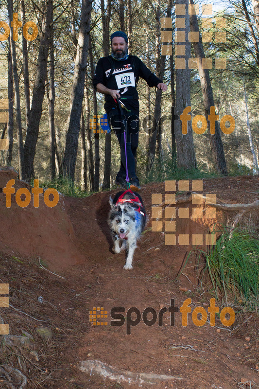 Esport Foto - Esportfoto .CAT - Fotos de II Mitja Marato de Muntanya i Canicross Eramprunyà - Dorsal [473] -   1391364816_BX0C0539.jpg