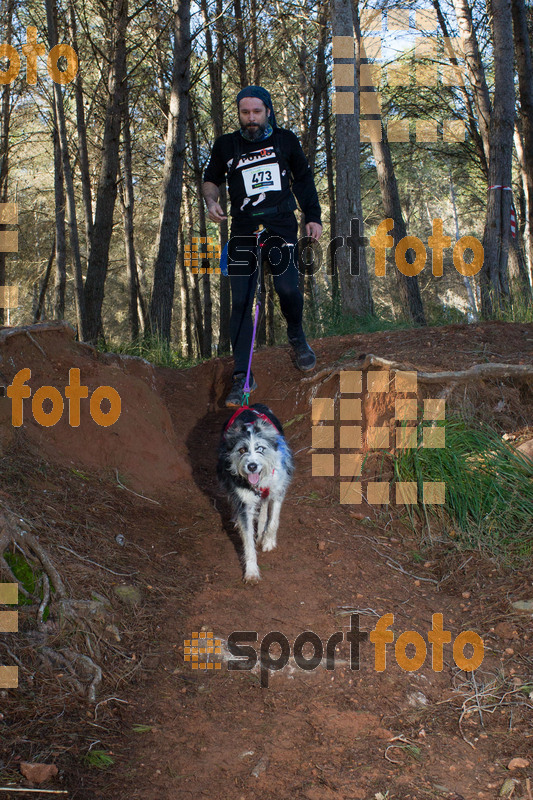 Esport Foto - Esportfoto .CAT - Fotos de II Mitja Marato de Muntanya i Canicross Eramprunyà - Dorsal [473] -   1391364817_BX0C0540.jpg