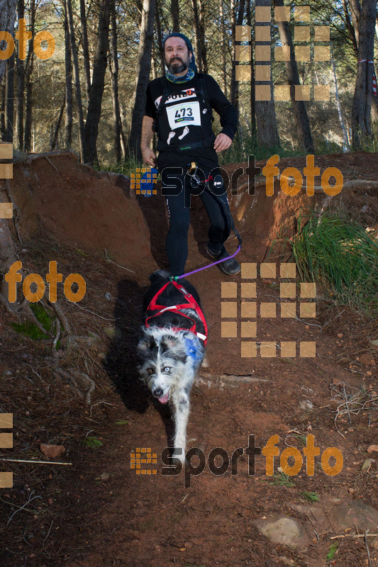 Esport Foto - Esportfoto .CAT - Fotos de II Mitja Marato de Muntanya i Canicross Eramprunyà - Dorsal [473] -   1391364818_BX0C0541.jpg