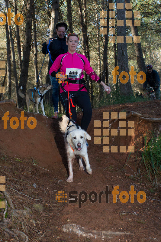 Esport Foto - Esportfoto .CAT - Fotos de II Mitja Marato de Muntanya i Canicross Eramprunyà - Dorsal [411] -   1391364822_BX0C0544.jpg