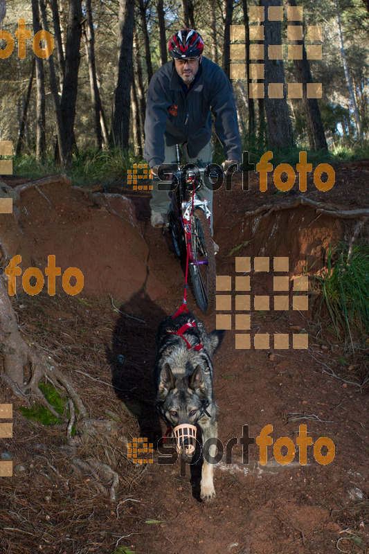 Esport Foto - Esportfoto .CAT - Fotos de II Mitja Marato de Muntanya i Canicross Eramprunyà - Dorsal [0] -   1391364829_BX0C0549.jpg