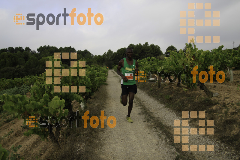 Esport Foto - Esportfoto .CAT - Fotos de XVIII Cursa de la Vinya - Sant Llorenç d'Hortons - Dorsal [0] -   1410092165_00210.jpg