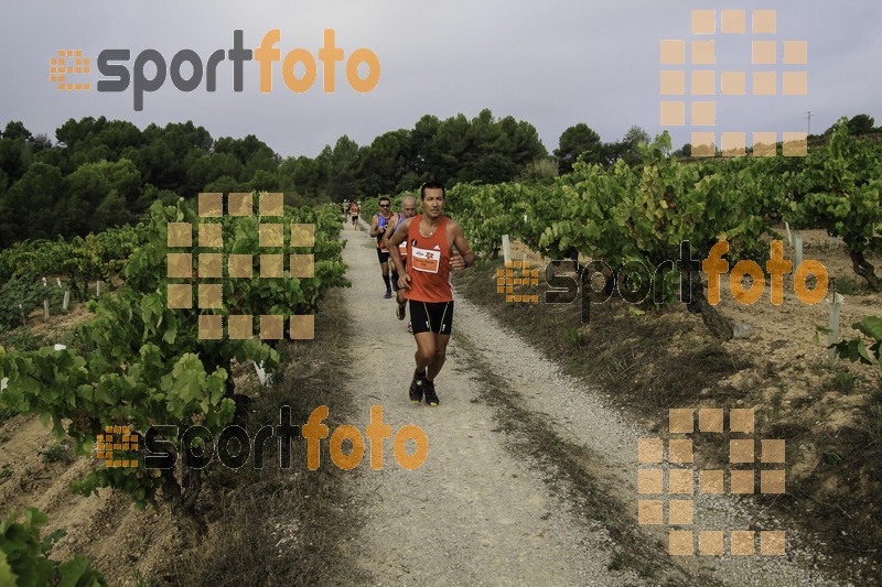 Esport Foto - Esportfoto .CAT - Fotos de XVIII Cursa de la Vinya - Sant Llorenç d'Hortons - Dorsal [0] -   1410094844_00247.jpg