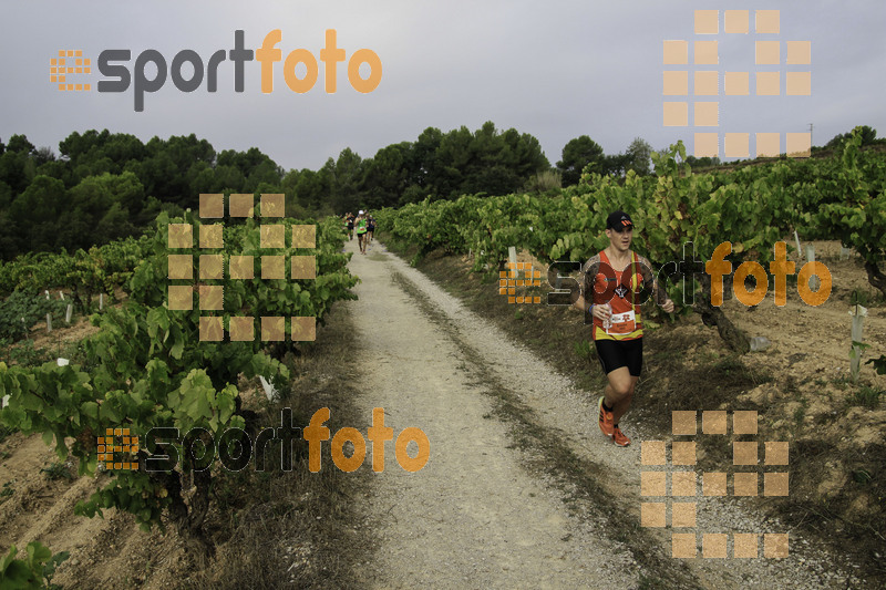 Esport Foto - Esportfoto .CAT - Fotos de XVIII Cursa de la Vinya - Sant Llorenç d'Hortons - Dorsal [0] -   1410094850_00250.jpg