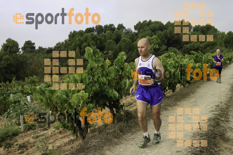 Esport Foto - Esportfoto .CAT - Fotos de XVIII Cursa de la Vinya - Sant Llorenç d'Hortons - Dorsal [0] -   1410094874_00466.jpg