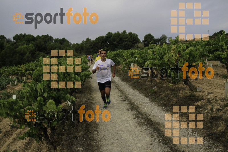 Esport Foto - Esportfoto .CAT - Fotos de XVIII Cursa de la Vinya - Sant Llorenç d'Hortons - Dorsal [0] -   1410095708_00261.jpg