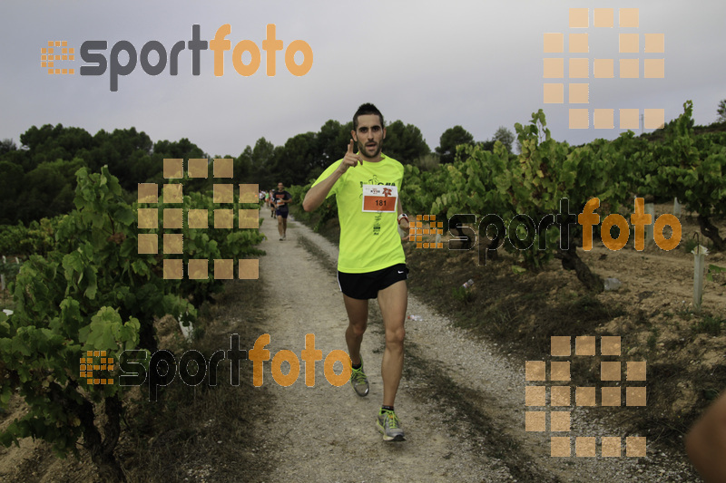 Esport Foto - Esportfoto .CAT - Fotos de XVIII Cursa de la Vinya - Sant Llorenç d'Hortons - Dorsal [181] -   1410095777_00293.jpg
