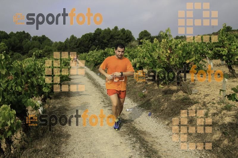 Esport Foto - Esportfoto .CAT - Fotos de XVIII Cursa de la Vinya - Sant Llorenç d'Hortons - Dorsal [0] -   1410098443_00413.jpg