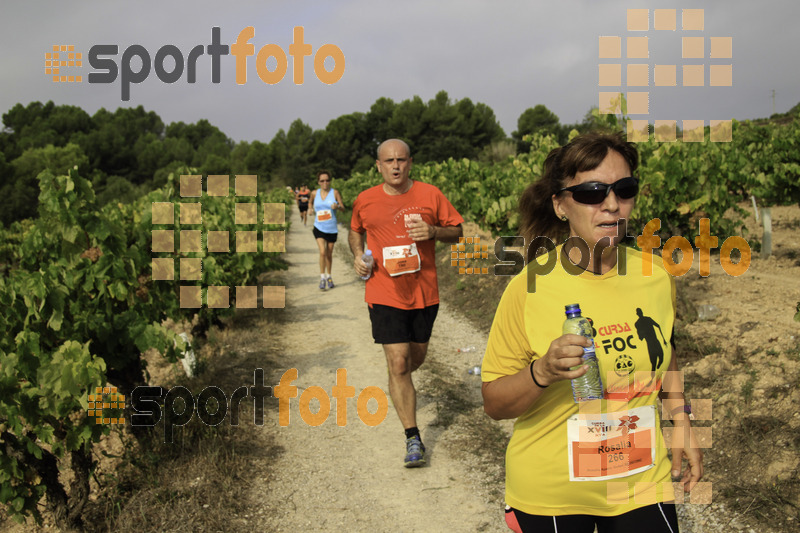 Esport Foto - Esportfoto .CAT - Fotos de XVIII Cursa de la Vinya - Sant Llorenç d'Hortons - Dorsal [266] -   1410098453_00416.jpg