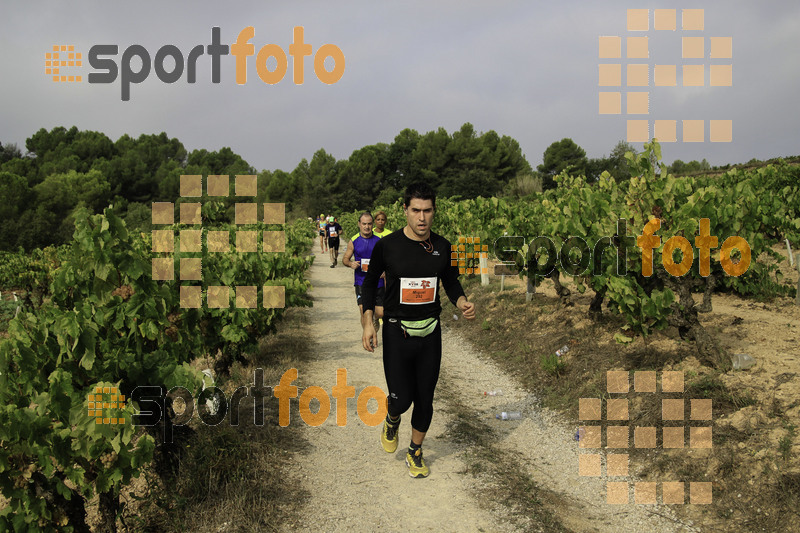 Esport Foto - Esportfoto .CAT - Fotos de XVIII Cursa de la Vinya - Sant Llorenç d'Hortons - Dorsal [0] -   1410098474_00426.jpg
