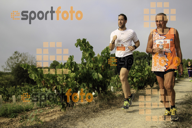 Esport Foto - Esportfoto .CAT - Fotos de XVIII Cursa de la Vinya - Sant Llorenç d'Hortons - Dorsal [0] -   1410098491_00434.jpg