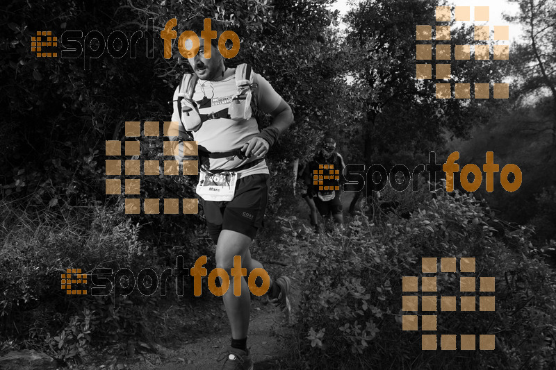 Esport Foto - Esportfoto .CAT - Fotos de Helly Hansen Ultratrail Collserola 2014 - Dorsal [462] -   1416686652_8430.jpg