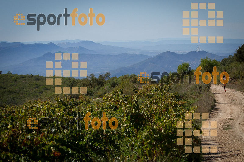 Esport Foto - Esportfoto .CAT - Fotos de UT de la Serra del Montsant 2014 - Dorsal [315] -   1413760528_0016.jpg
