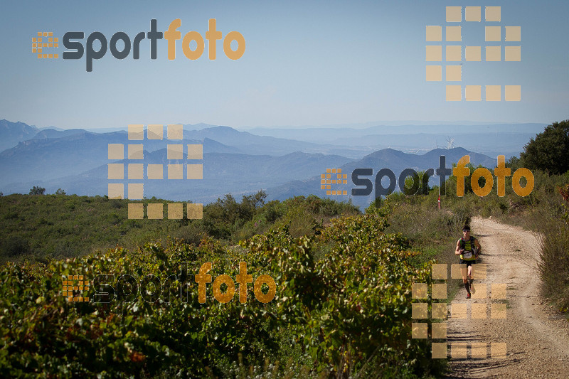 Esport Foto - Esportfoto .CAT - Fotos de UT de la Serra del Montsant 2014 - Dorsal [377] -   1413760540_0023.jpg