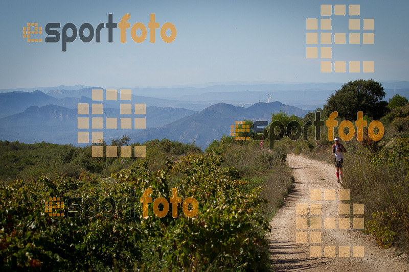 Esport Foto - Esportfoto .CAT - Fotos de UT de la Serra del Montsant 2014 - Dorsal [344] -   1413760547_0028.jpg