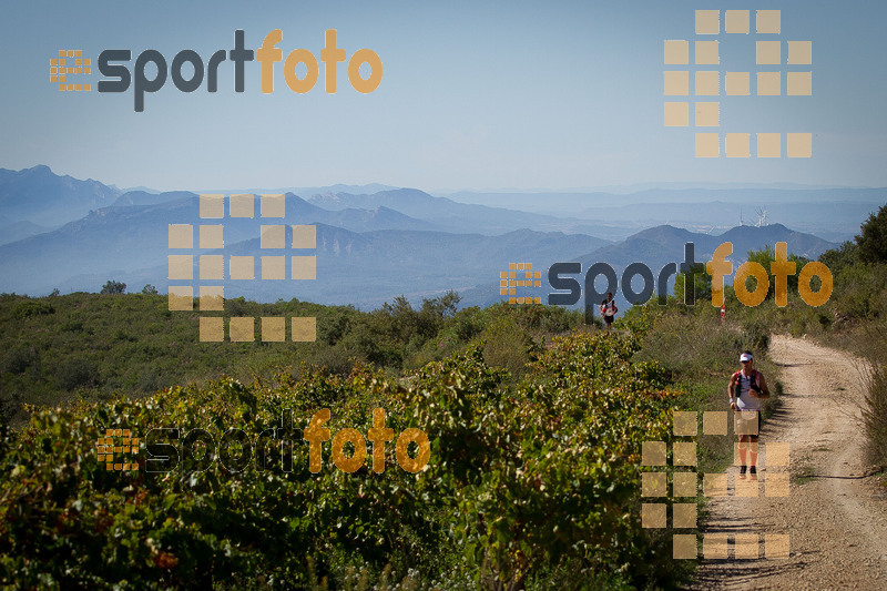 Esport Foto - Esportfoto .CAT - Fotos de UT de la Serra del Montsant 2014 - Dorsal [344] -   1413760548_0029.jpg