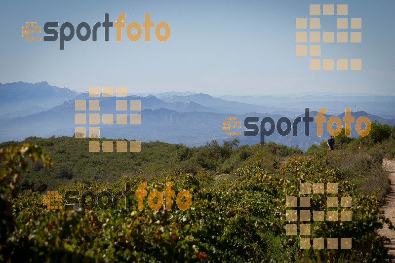 Esport Foto - Esportfoto .CAT - Fotos de UT de la Serra del Montsant 2014 - Dorsal [473] -   1413760562_0037.jpg