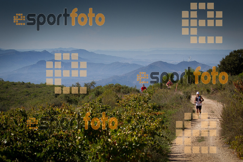 Esport Foto - Esportfoto .CAT - Fotos de UT de la Serra del Montsant 2014 - Dorsal [391] -   1413760658_0091.jpg