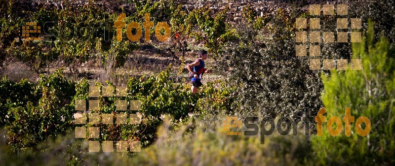 Esport Foto - Esportfoto .CAT - Fotos de UT de la Serra del Montsant 2014 - Dorsal [136] -   1413797442_0184