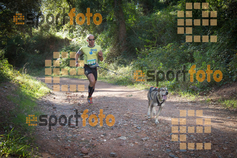 Esport Foto - Esportfoto .CAT - Fotos de 90 Canicross i Cursa Eramprunyà 2015 - Dorsal [428] -   1424642730_0296.jpg