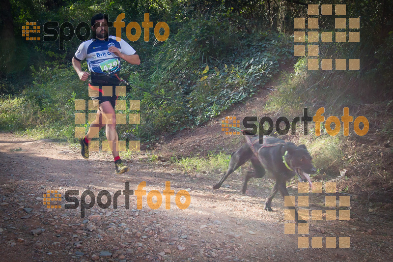 Esport Foto - Esportfoto .CAT - Fotos de 90 Canicross i Cursa Eramprunyà 2015 - Dorsal [429] -   1424642737_0299.jpg