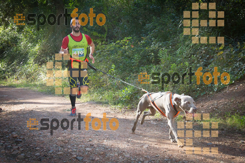 Esport Foto - Esportfoto .CAT - Fotos de 90 Canicross i Cursa Eramprunyà 2015 - Dorsal [410] -   1424642739_0301.jpg