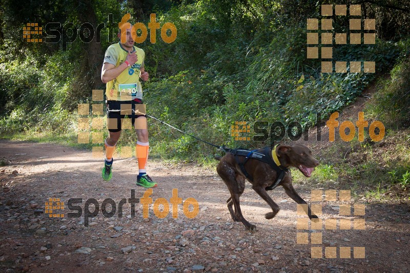 Esport Foto - Esportfoto .CAT - Fotos de 90 Canicross i Cursa Eramprunyà 2015 - Dorsal [430] -   1424642746_0305.jpg