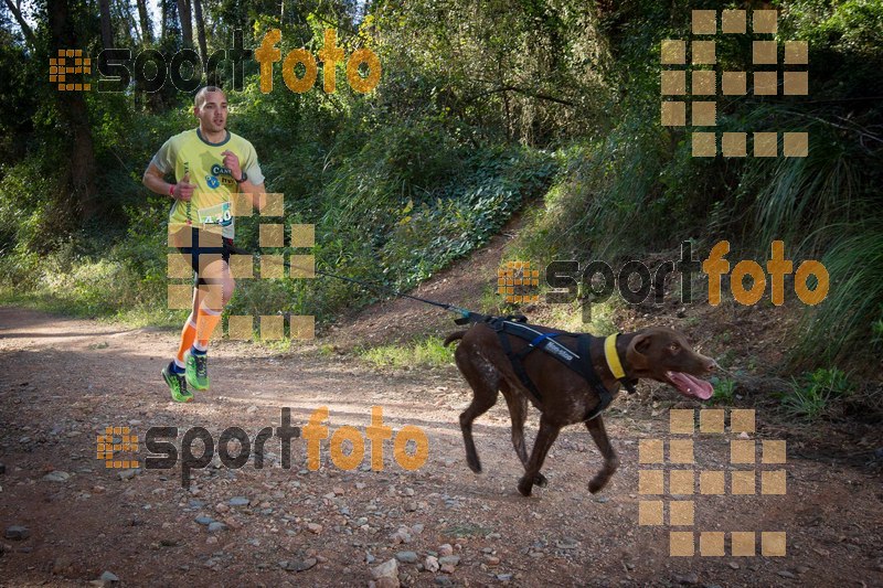 Esport Foto - Esportfoto .CAT - Fotos de 90 Canicross i Cursa Eramprunyà 2015 - Dorsal [430] -   1424642748_0306.jpg