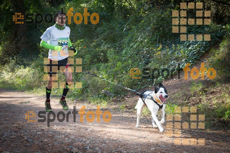 Esport Foto - Esportfoto .CAT - Fotos de 90 Canicross i Cursa Eramprunyà 2015 - Dorsal [420] -   1424642771_0317.jpg