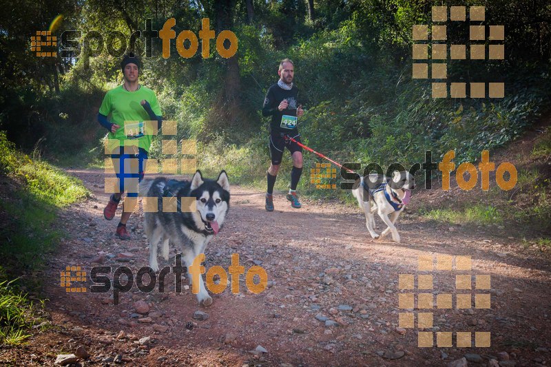 Esport Foto - Esportfoto .CAT - Fotos de 90 Canicross i Cursa Eramprunyà 2015 - Dorsal [424] -   1424642793_0329.jpg