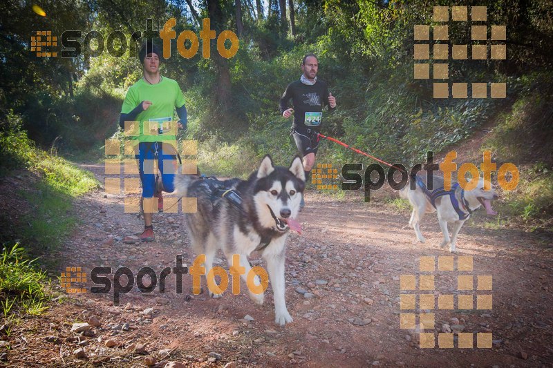 Esport Foto - Esportfoto .CAT - Fotos de 90 Canicross i Cursa Eramprunyà 2015 - Dorsal [424] -   1424642796_0330.jpg