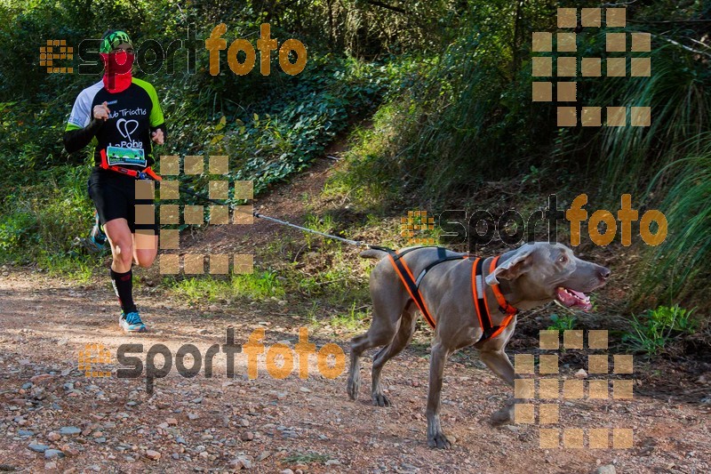 Esport Foto - Esportfoto .CAT - Fotos de 90 Canicross i Cursa Eramprunyà 2015 - Dorsal [404] -   1424642803_0333.jpg