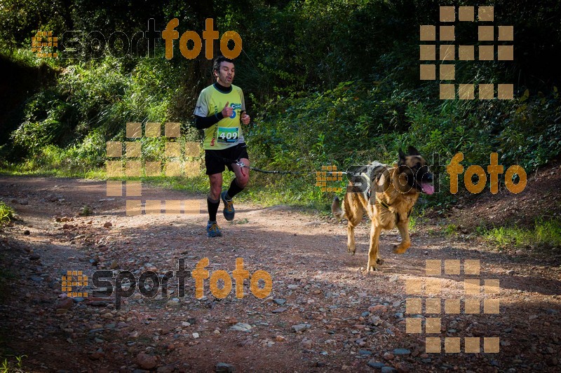 Esport Foto - Esportfoto .CAT - Fotos de 90 Canicross i Cursa Eramprunyà 2015 - Dorsal [409] -   1424642807_0335.jpg