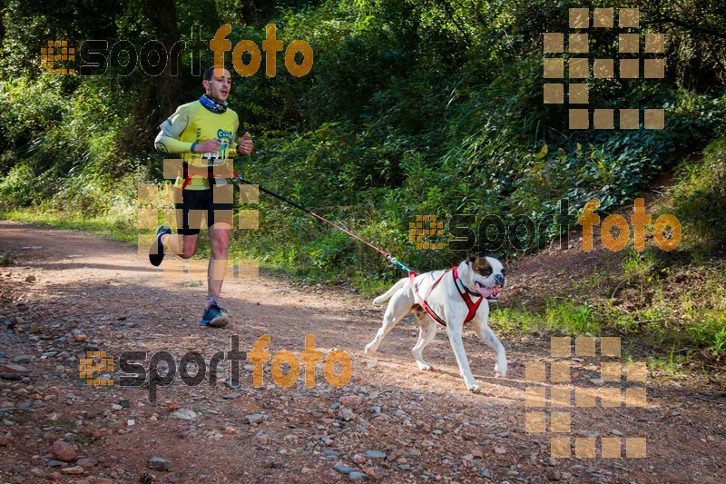 Esport Foto - Esportfoto .CAT - Fotos de 90 Canicross i Cursa Eramprunyà 2015 - Dorsal [441] -   1424642819_0341.jpg