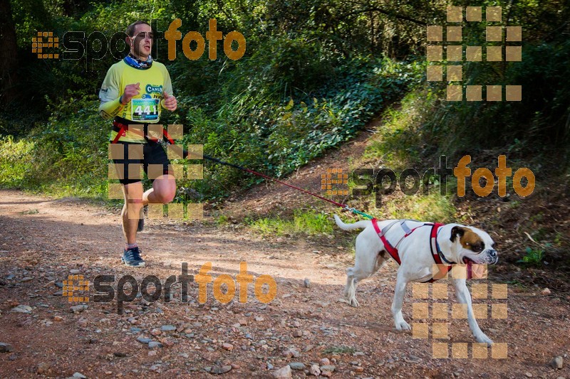Esport Foto - Esportfoto .CAT - Fotos de 90 Canicross i Cursa Eramprunyà 2015 - Dorsal [441] -   1424642821_0342.jpg