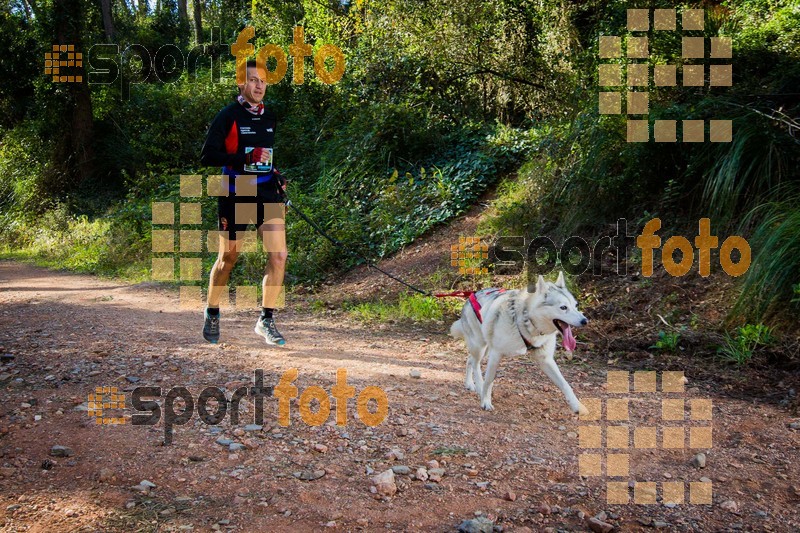 Esport Foto - Esportfoto .CAT - Fotos de 90 Canicross i Cursa Eramprunyà 2015 - Dorsal [421] -   1424642828_0345.jpg